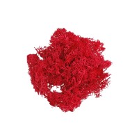 Epoksi Kurutulmuş Yosun Kırmızı 5gr Epoksi Kurutulmuş Yosun Kırmızı 5gr