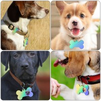 Epoksi Silikon Çoklu Kedi Köpek Tasma İsimlik Kalıbı